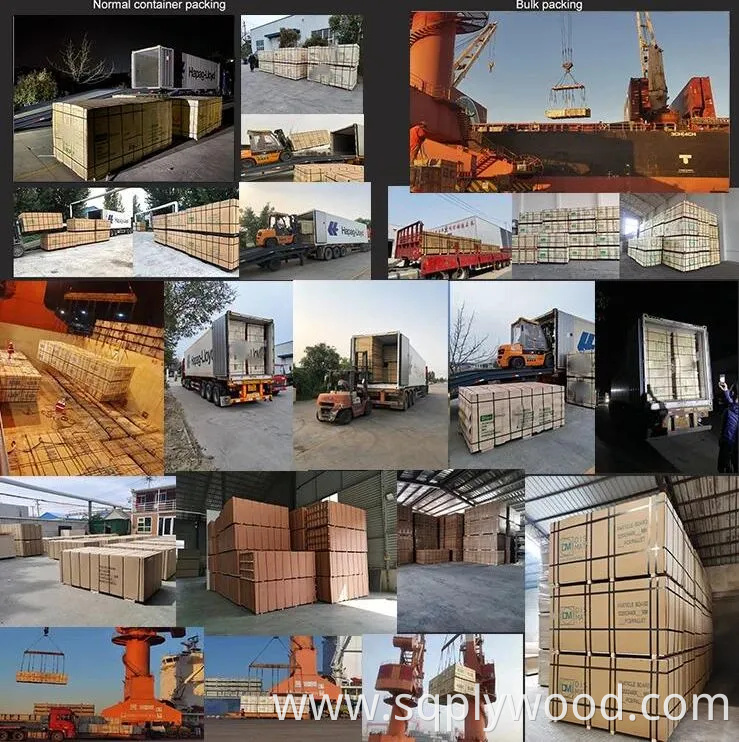 for Interior Wall Panel UV Glossy Laminated Pet Particleboard Melamine MDF